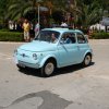 Montevago 2010 (237)